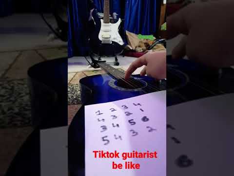 Tiktok guitarists be like #shorts #shortsbeta #meme #5things #funny #tiktok #guitar #guitarcover