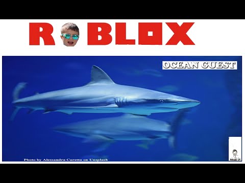 ROBLOX! OCEAN GUEST