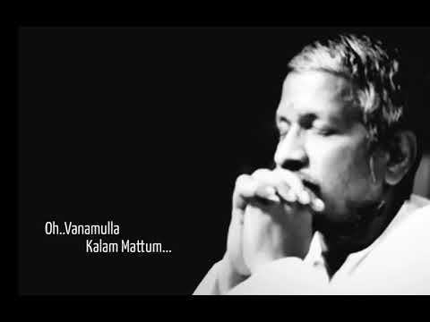 Oh Vanamulla Kalam Mattum | Puthiya Swarangal(1991) | Voice Of Ilaiyaraaja