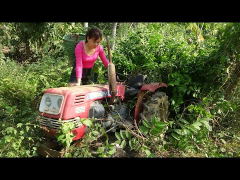 Repair recover maintain agricultural tractor. Repair machine abandoned agricultural tractor