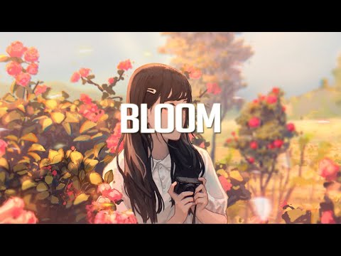 Bloom | Chillstep Mix 2024