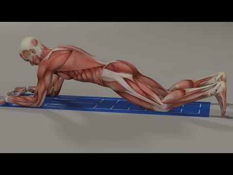 Can you handle the 8 Point Plank?