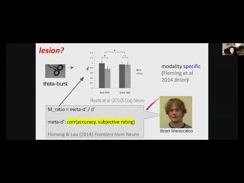 Towards a translational neuroscience of consciousness