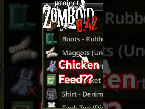 Can we Feed Maggots to the Chickens!? #build42