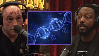 "Secrets of the Universe are HIDDEN in our DNA - Joe Rogan & Billy Carson