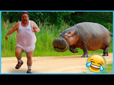 Best Funny Videos 🤣 - People Being Idiots / 🤣 Try Not To Laugh - BY Funny Dog 🏖️ #24