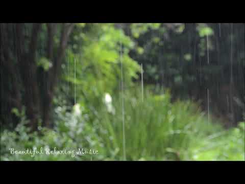 Relaxing Music & Rain Sounds Beautiful Piano Music, Background Music, Sleep Music,  yoga, zen