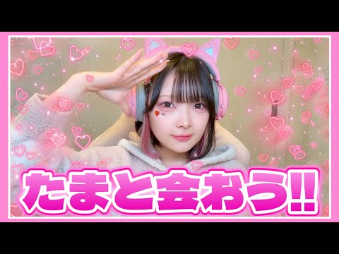 会えるイベント開催します！！！【たまちゃん】