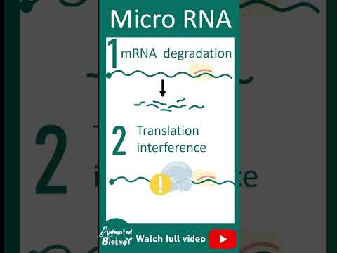 What is miRNA?  Nobel prize in Medicine 2024 #animated_biology #chemistry #biologism