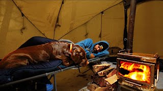 Surviving Winter Camping in the Polar Vortex with My Dog