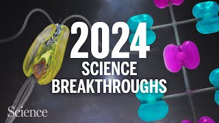 The biggest science breakthroughs in 2024