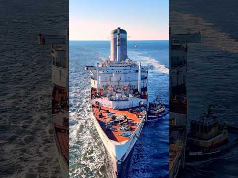 The SS United States arriving into Mobile Bay this morning #shorts #ssunited #ssunitedstates