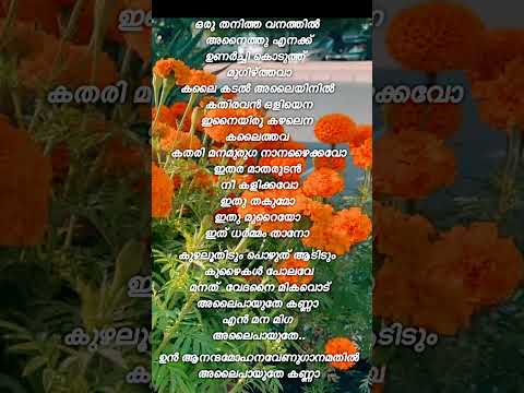 അലൈപായുതേ കണ്ണാ 🎶🎶alaipayuthey song #lyrical malayalam #shorts #shortsvideo