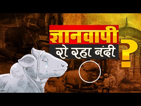 #Gyanvapi Survey | काशी विश्वनाथ मंदिर व ज्ञानवापी मस्जिद की पड़ताल | Kashi Vishwanath Temple