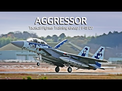 [百里基地] 巡回教導訓練2023 アグレッサー F-15 新色機が飛来　JASDF Tactical Fighter Training Group F-15DJ Aggressor