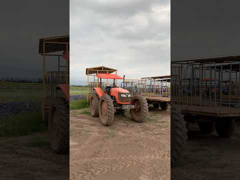 Farm visit Australia #travel #farming #australia #agriculture #farmlife