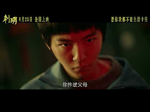 【TFBOYS 王俊凱】電影《刺猬》終極預告片 知己攜手，奔向自由，“有病”是假，有夢是真。8月23日上映，願你我都不被生活卡住【Karry Wang Junkai】