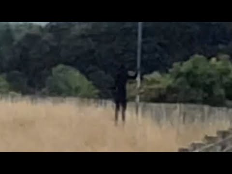 Slender Man Spotted in Real Life?! #shorts