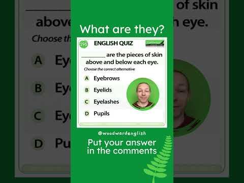 What are the pieces of skin above and below each eye? 👁️ Woodward English Quiz 196