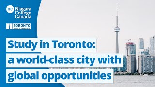 Study in Toronto: a world-class city with global opportunities | Niagara College - Toronto