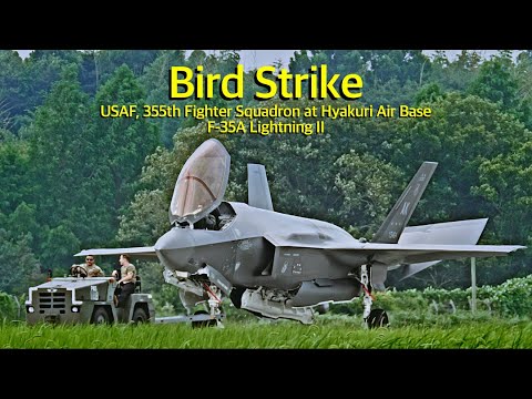 [ASMR 百里基地] 米空軍F-35A 滑走中バードストライク 緊急離陸中止！ ウエストランウェイランディング　USAF, 355th FS / F-35A Bird Strike