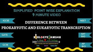 8 Differences between Prokaryotic and Eukaryotic Transcription