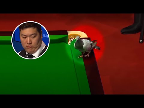 Most AWKWARD Moments In Snooker History