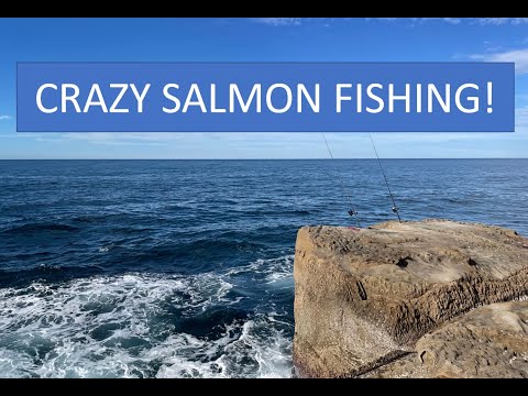 Whale Beach Salmon Fishing