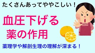 【多くの学生が苦手！】高血圧の薬理について解説