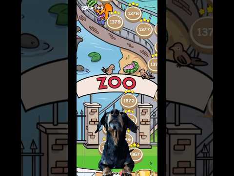 Let’s go to the ZOO! (New levels added!)