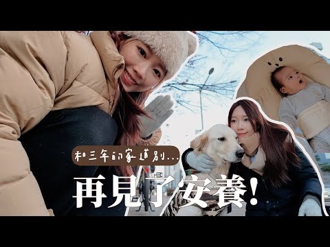 VLOG｜充滿離愁別緒的搬家前夕 🫧生孩子後會有想買樓的衝動？Life Updates𖤐｜金鈴