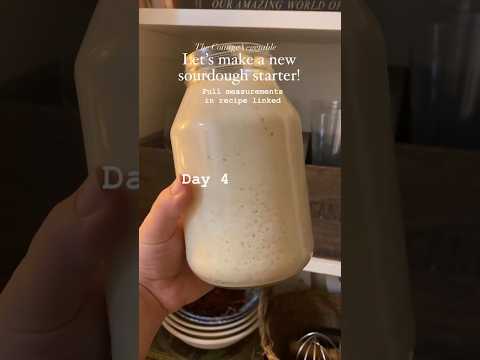 No waste, 2 ingredient Sourdough Starter Recipe | 7 days (recipe in comments or google it)