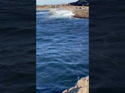 #CapeBanks #Fishing #australia #rockfishing #nsw #winterfishing #deepwater #fishingvideo #Blanked