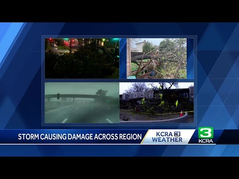 California winter storm updates | Travel delays, downed trees and school closures on March 13, 2025