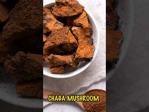 CHAGA MUSHROOM #health Surprising Health benefits