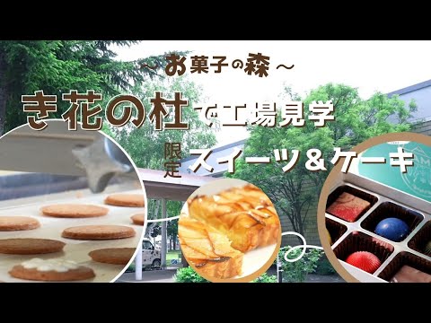 壺屋「き花の杜」｜工場見学や限定スイーツを楽しもう！