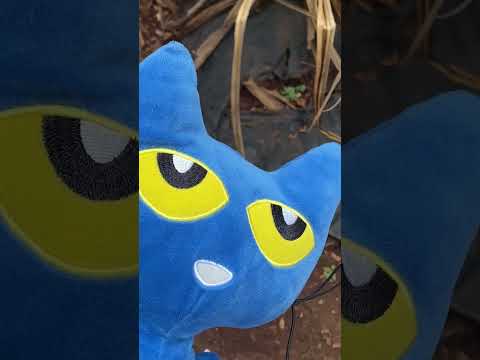 Check Out the Dole Plantation in Hawaii with PETE THE CAT and Noah Part 3 #doleplantation