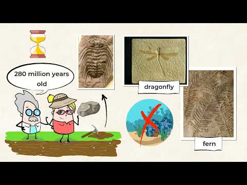 Rock formations: what’s hiding under a rock? | MightyOwl Science | 4th Grade