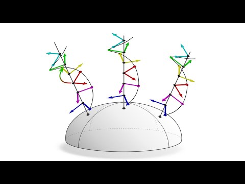 Prerequisites III: Manifolds & Fiber Bundles - Maurice Weiler