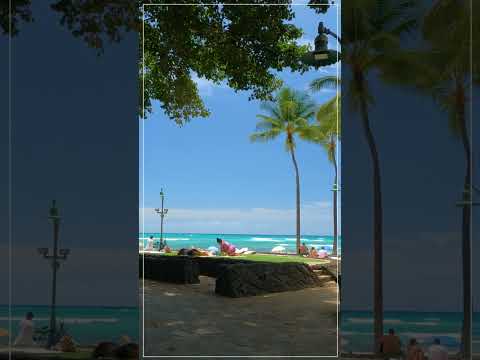 WAIKIKI BEACH ⛱️ Hawaii John #Shorts