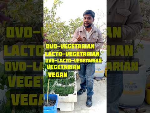 Types Of Vegetarians | Learn English #thenextstep4you