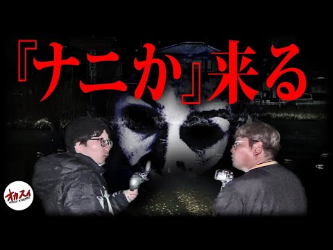 【心霊】ずっと付いてくる霊がいる…!?近付いてはいけない心霊スポットの全貌！【福岡心霊】【ぷち掃除】