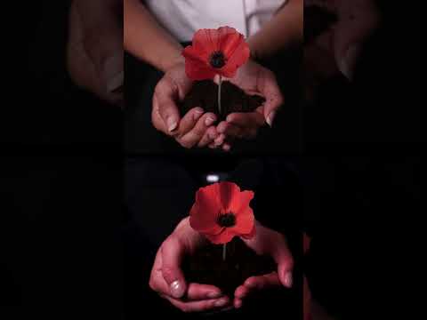 Remembrance