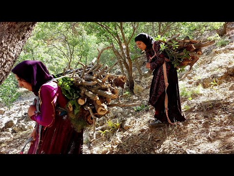 Nomadic Life: Collecting Firewood in the Heart of Spectacular Mountains🏔️