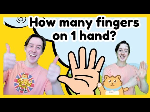 How Many Fingers on One Hand? | Learn to Count with Mr Mike|Fun Counting & Numbers Song for Kid|Math