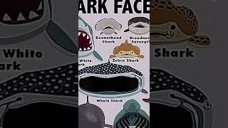 types of sharks faces ☠️