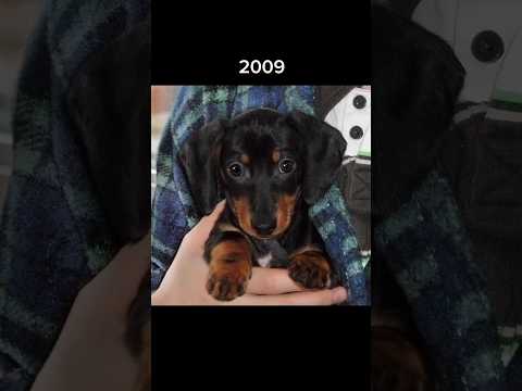 Crusoe Turns 14! - Watch His Evolution