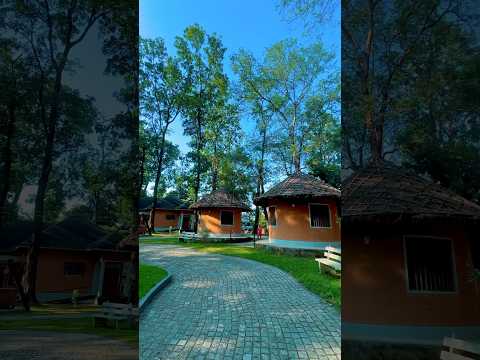 Forest Museum in Kerala | Kollam |Kulathuppuzha കേരളത്തിലെ ആദ്യത്തെ വന മ്യൂസിയം കാണാം 😍