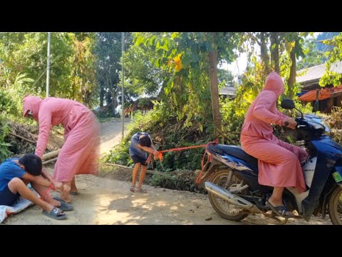 The orphan boy went to the forest to pick fruit and met his stepmother