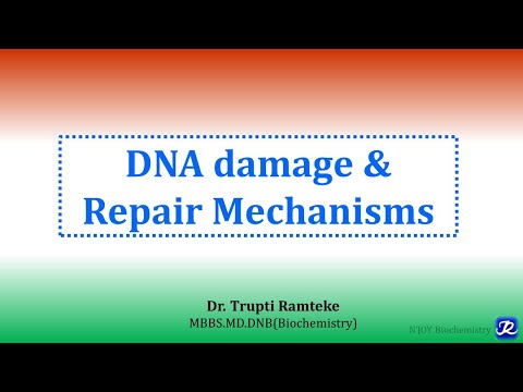 6: DNA damage and repair mechanisms | Molecular Biology| Biochemistry | N'JOY Biochemistry